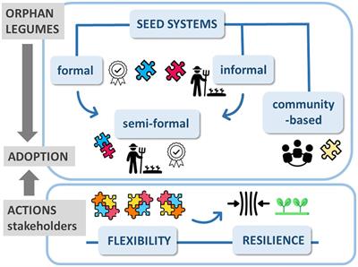 Seed quality as a proxy of climate-ready orphan legumes: the need for a multidisciplinary and multi-actor vision